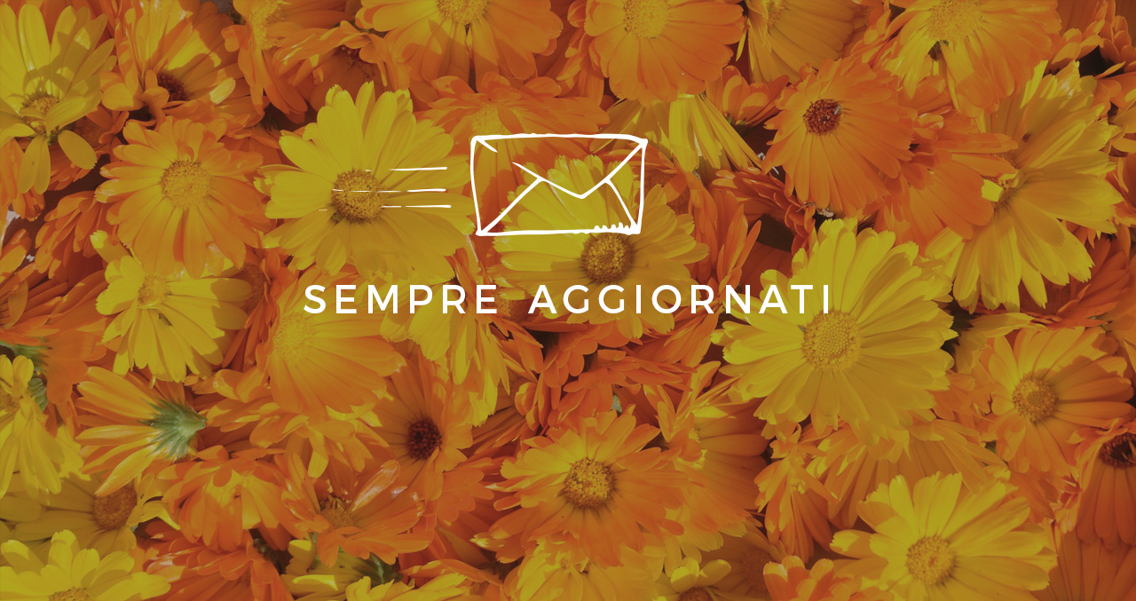 Iscriviti alla newsletter