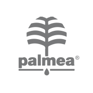Palmea